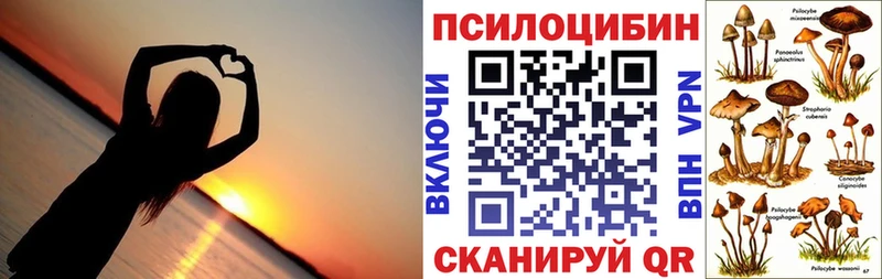 хочу   Людиново  кракен ССЫЛКА  Псилоцибиновые грибы мицелий 