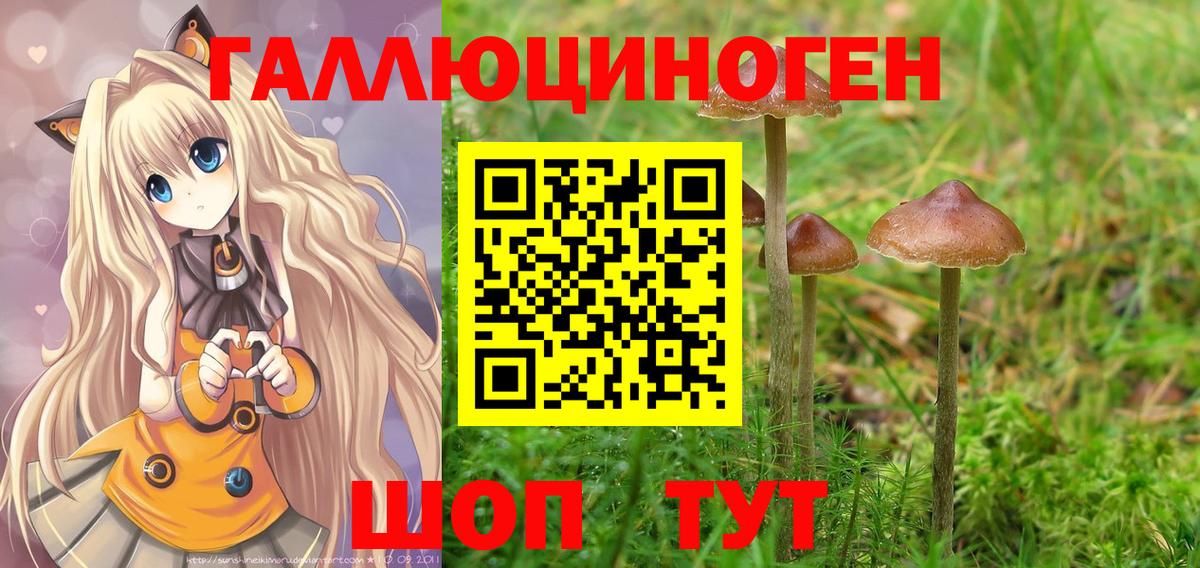 Псилоцибиновые грибы прущие грибы  Людиново 